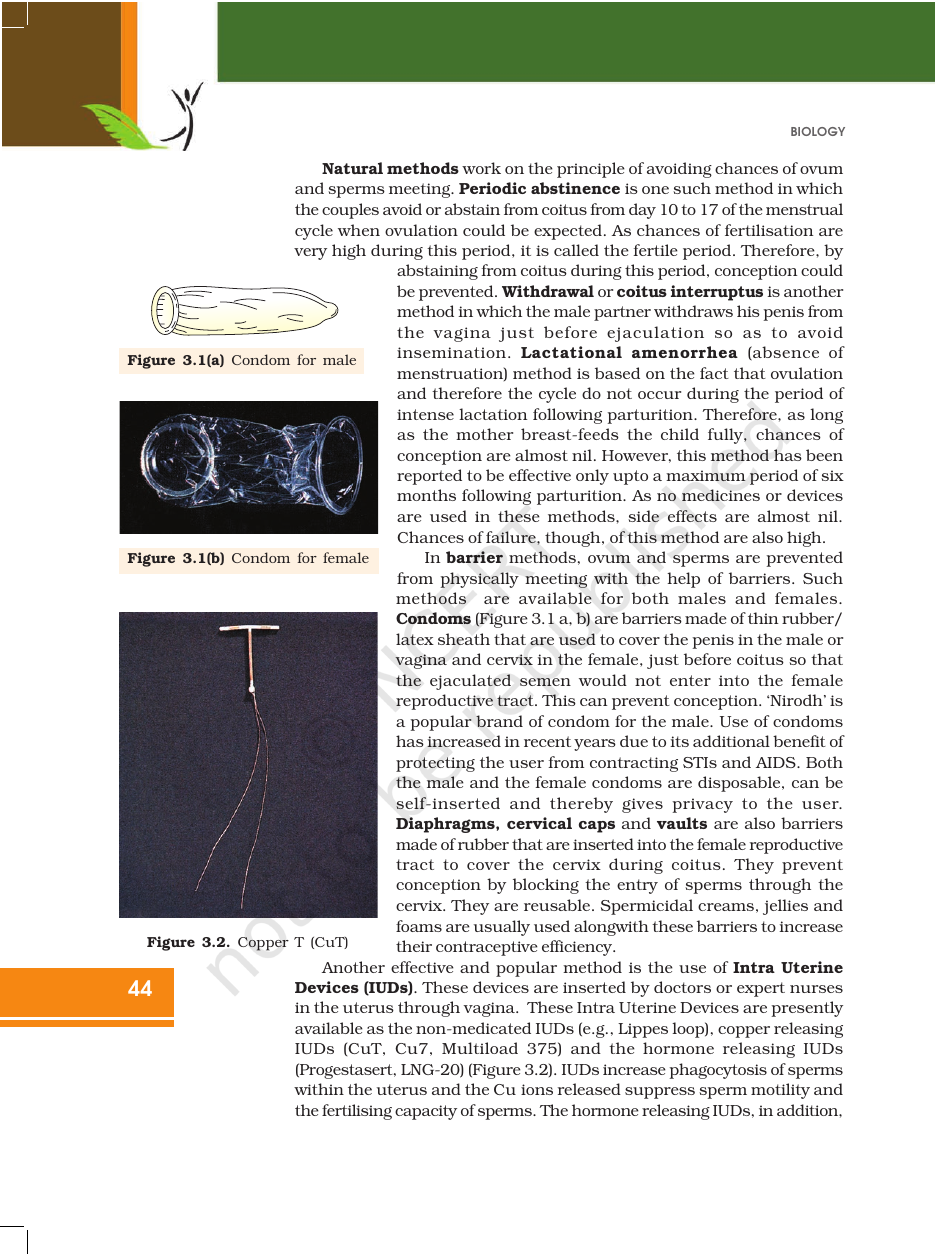 Page 4 of Reproductive Health