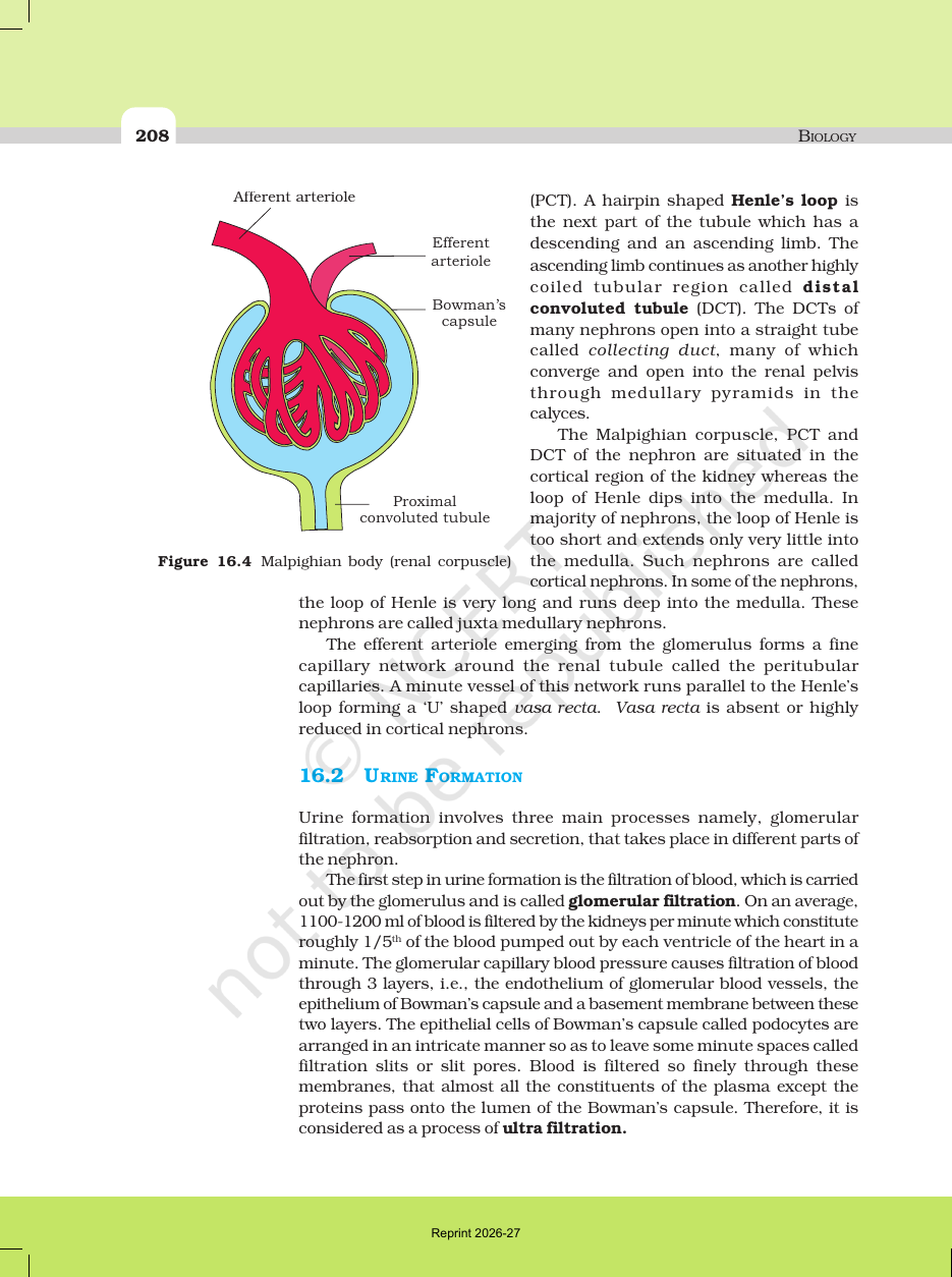 Page 4 of Excretory Products and their Elimination