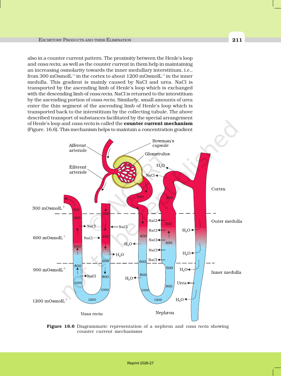 Page 7 of Excretory Products and their Elimination