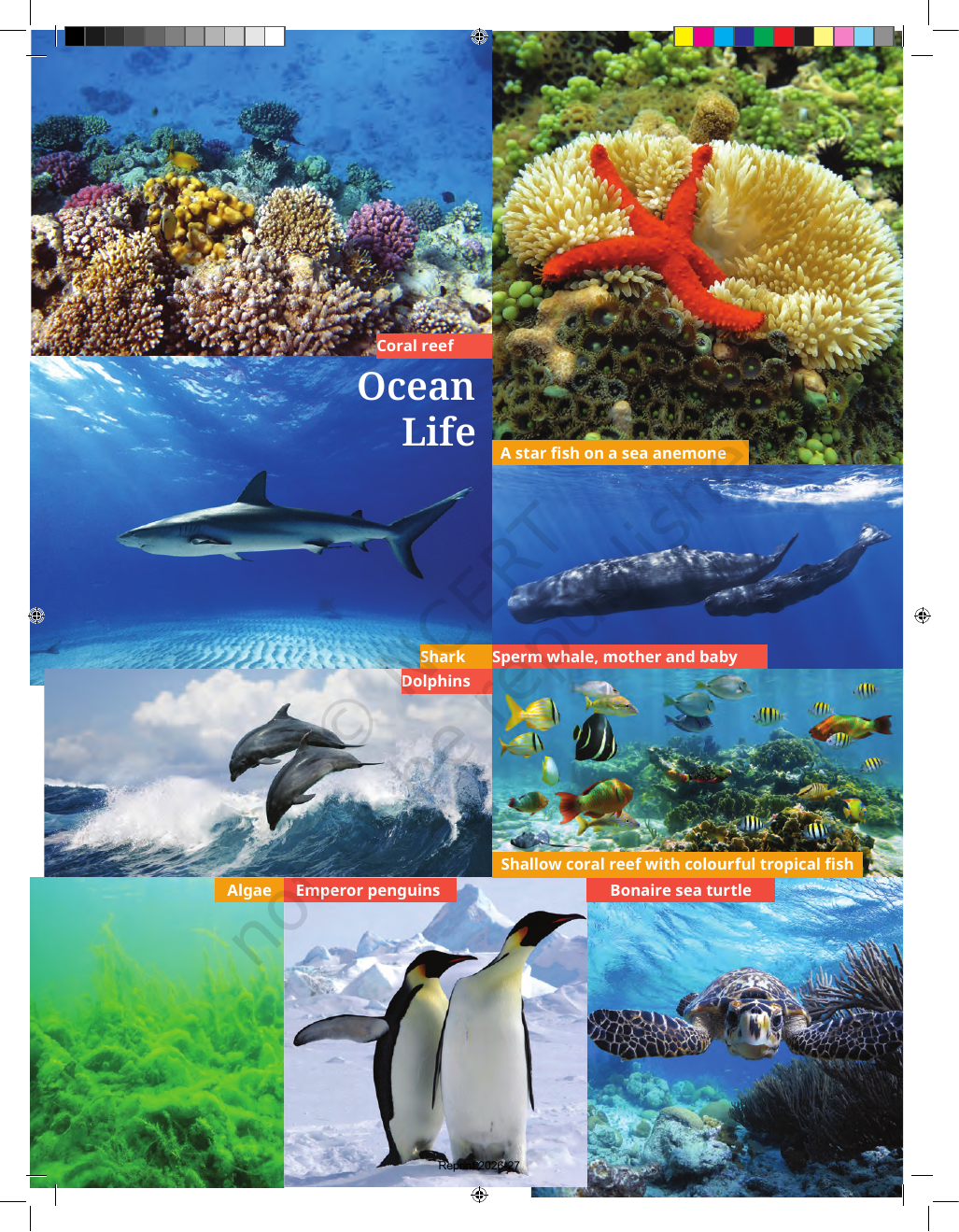 Page 4 of Oceans and Continents