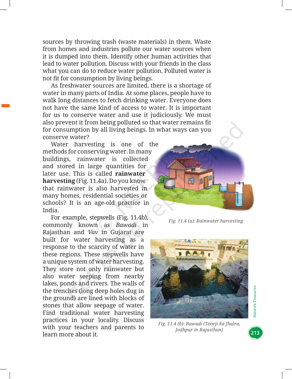 Page 7 of Nature's Treasures
