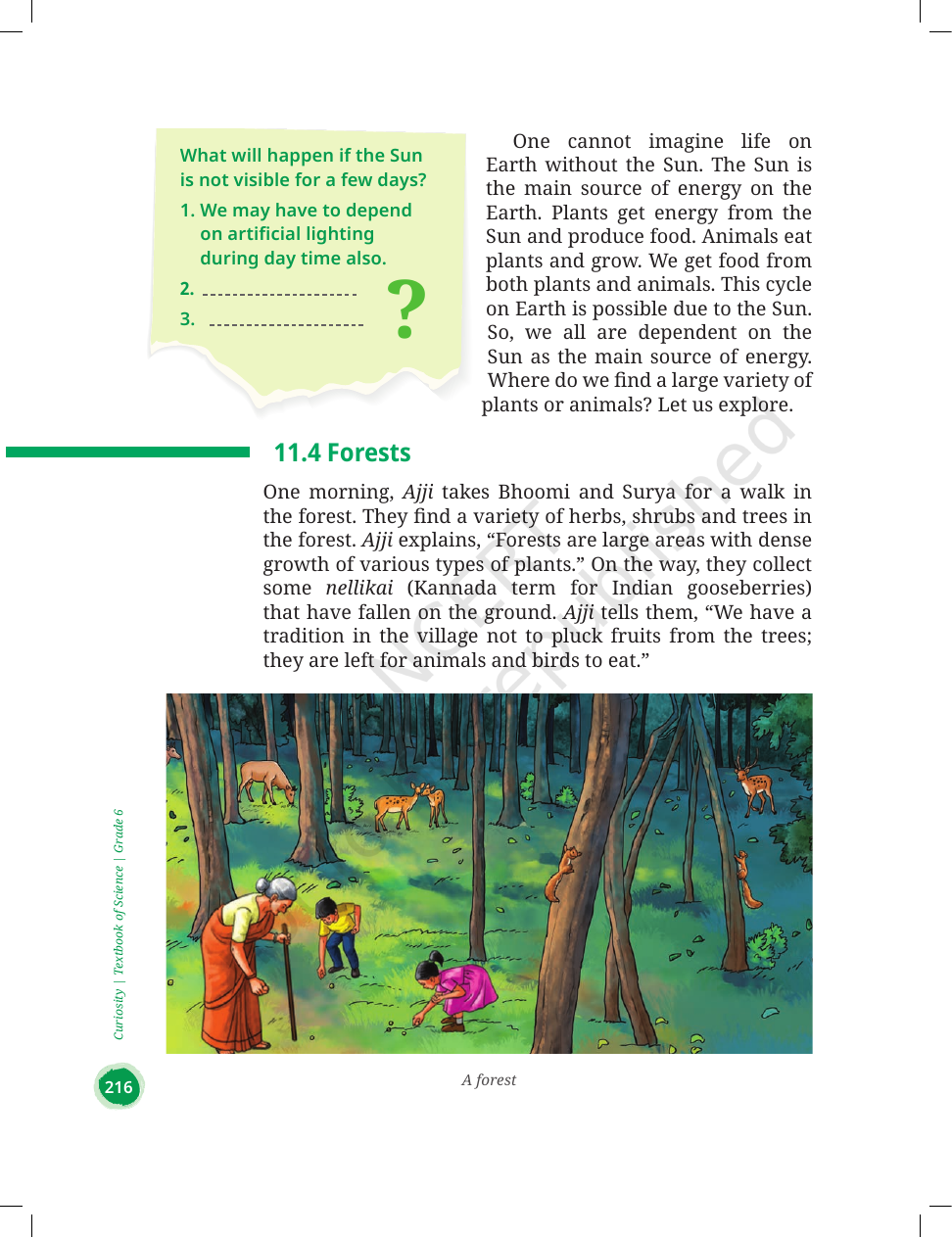 Page 10 of Nature's Treasures