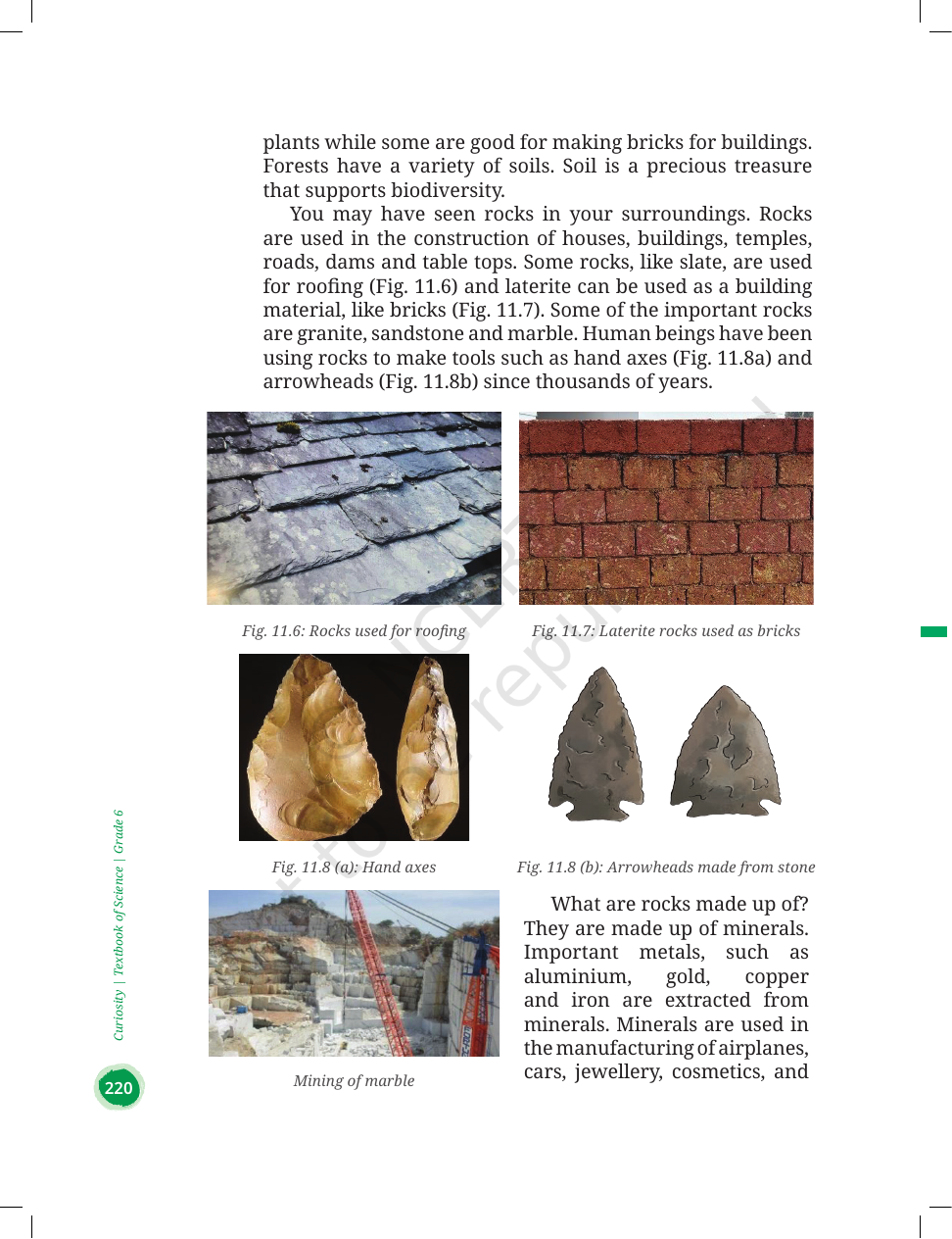Page 14 of Nature's Treasures