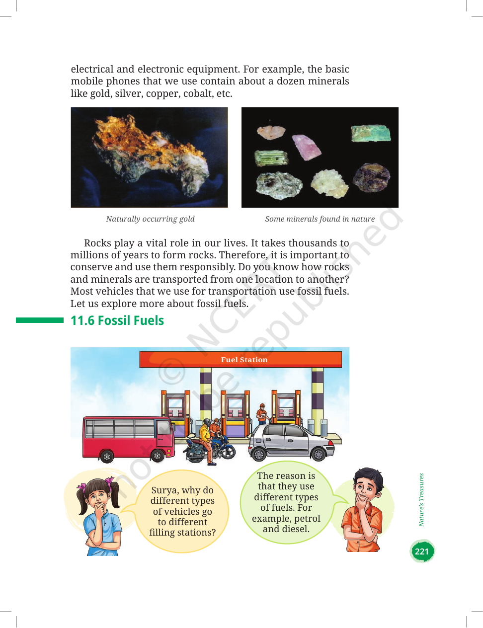 Page 15 of Nature's Treasures
