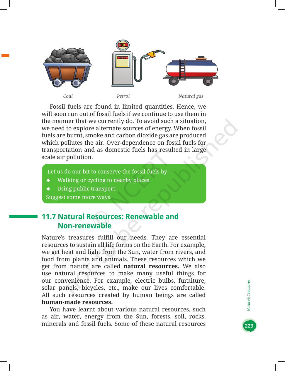 Page 17 of Nature's Treasures