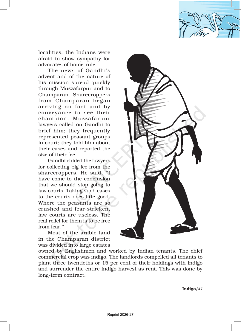 Page 3 of Indigo