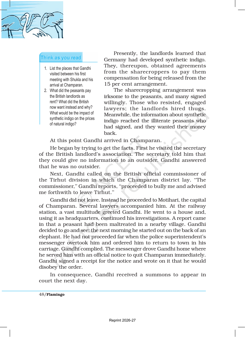Page 4 of Indigo