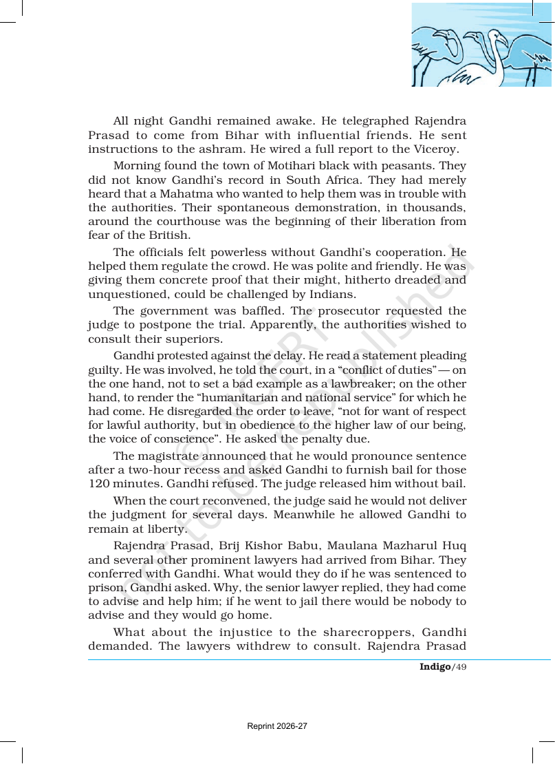 Page 5 of Indigo