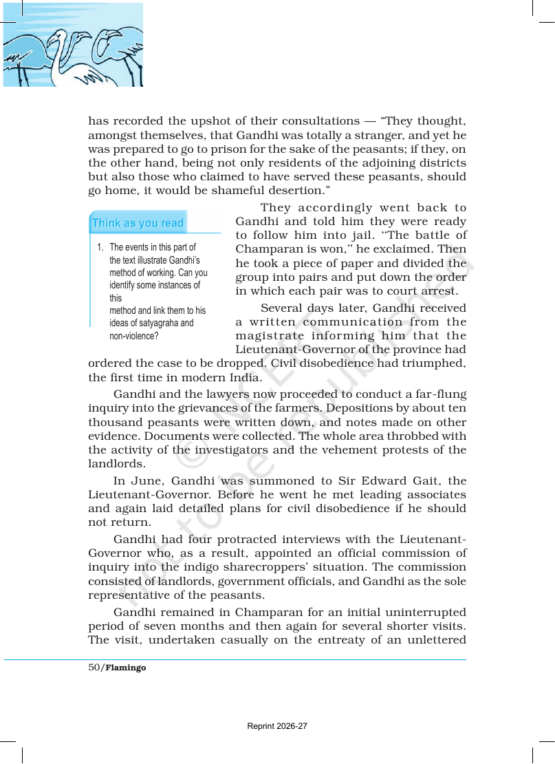 Page 6 of Indigo