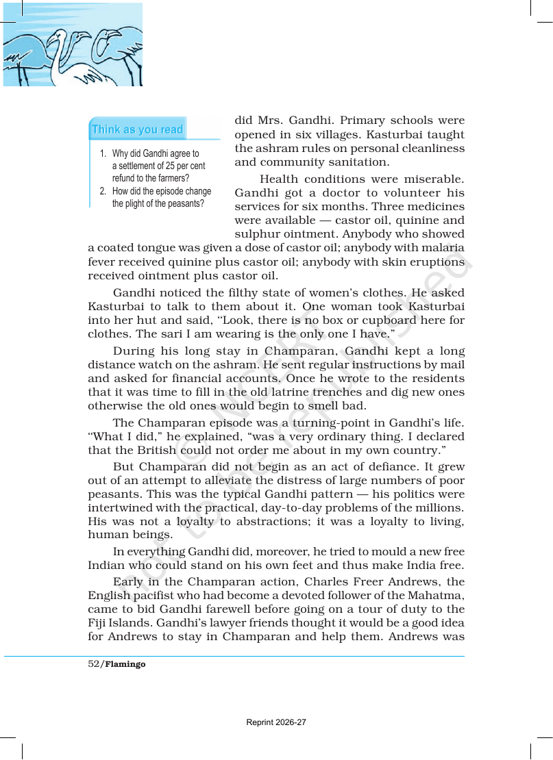 Page 8 of Indigo