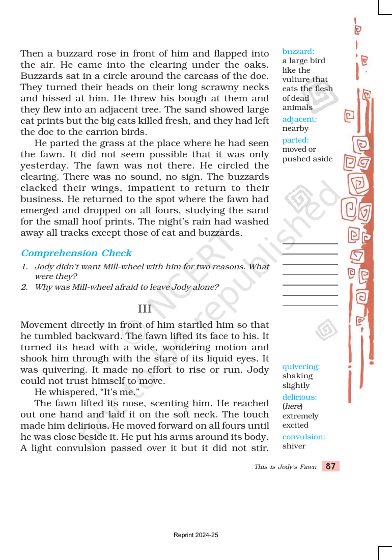 Page 5 of This is Jody's Fawn