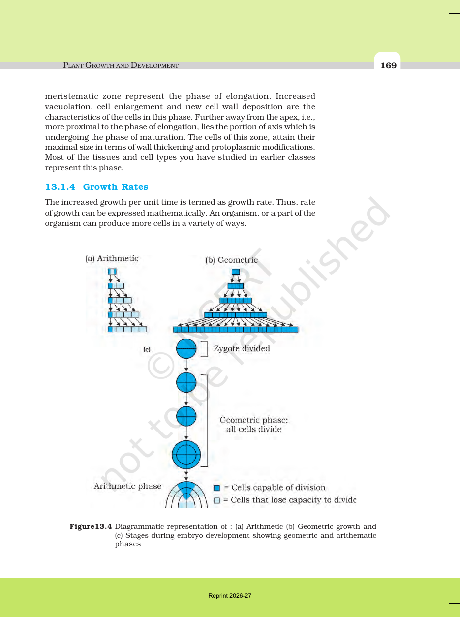 Page 4 of Plant Growth and Development