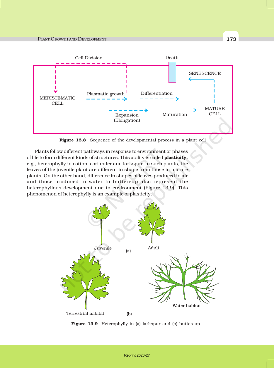 Page 8 of Plant Growth and Development