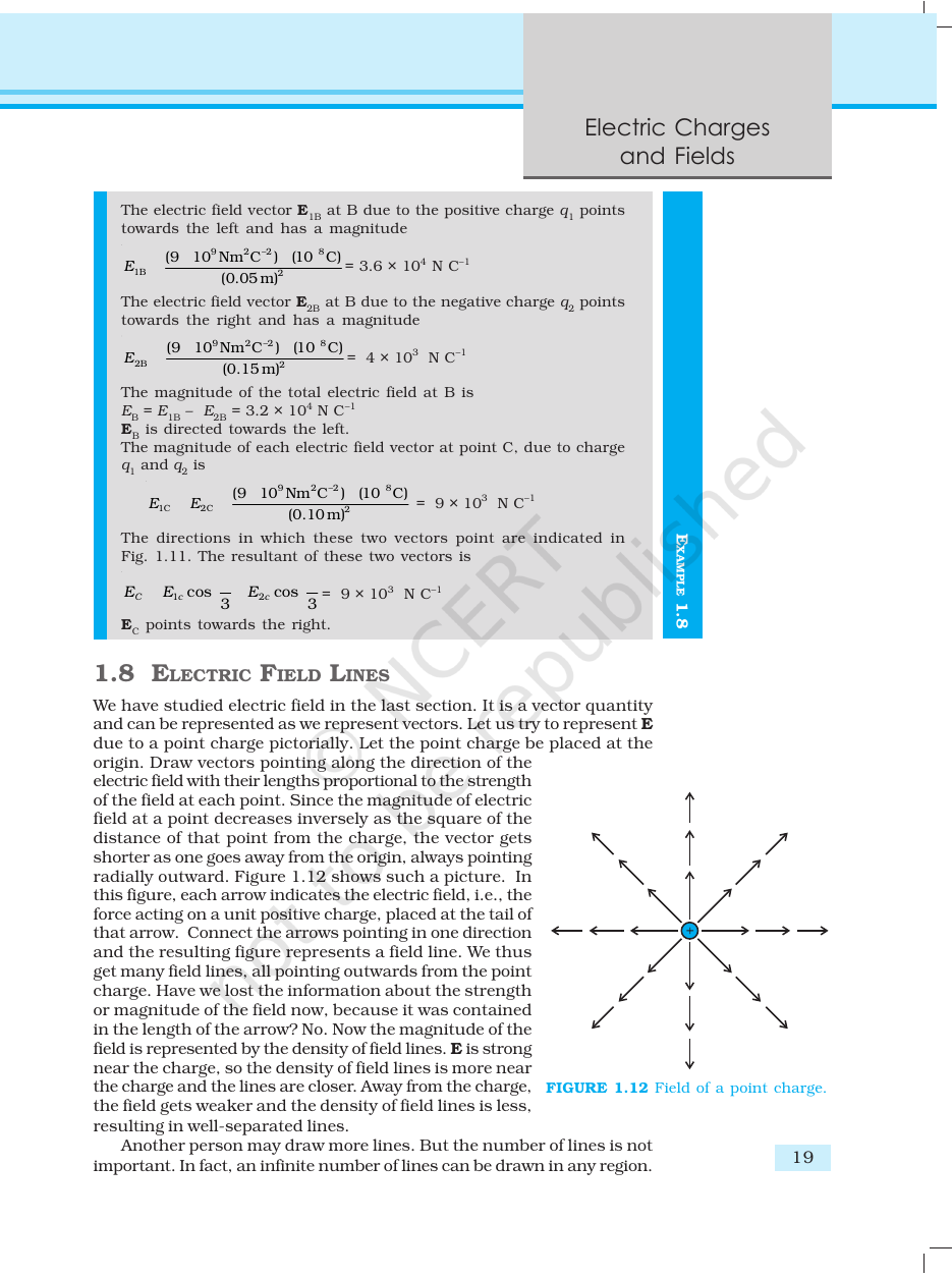 Page 19 of Electric Charges and Fields