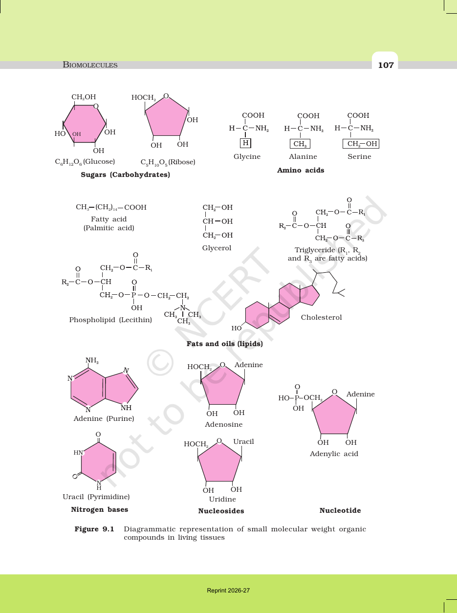 Page 4 of Biomolecules