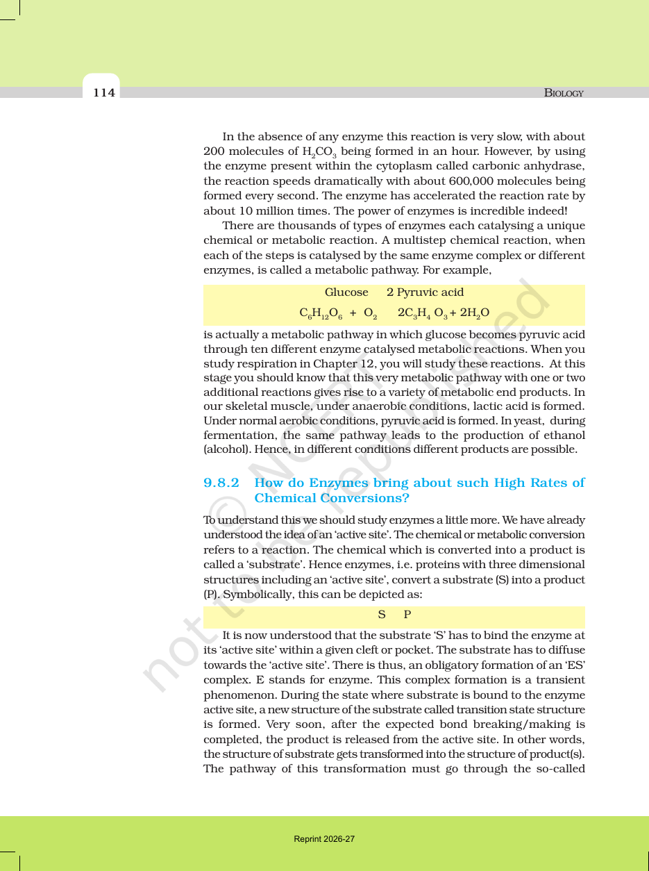 Page 11 of Biomolecules