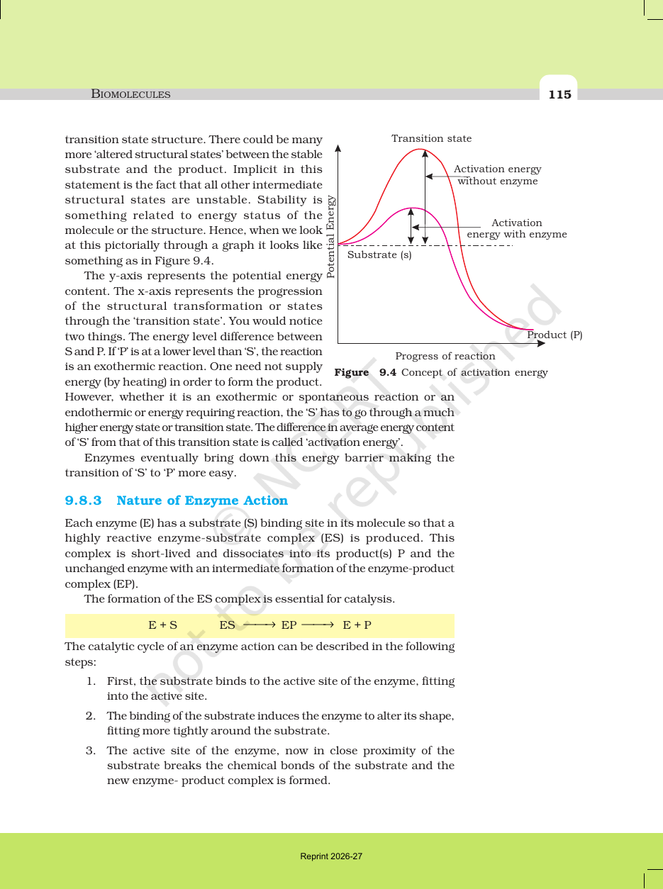 Page 12 of Biomolecules