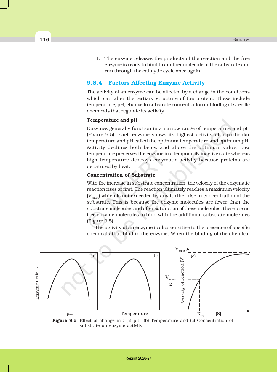 Page 13 of Biomolecules