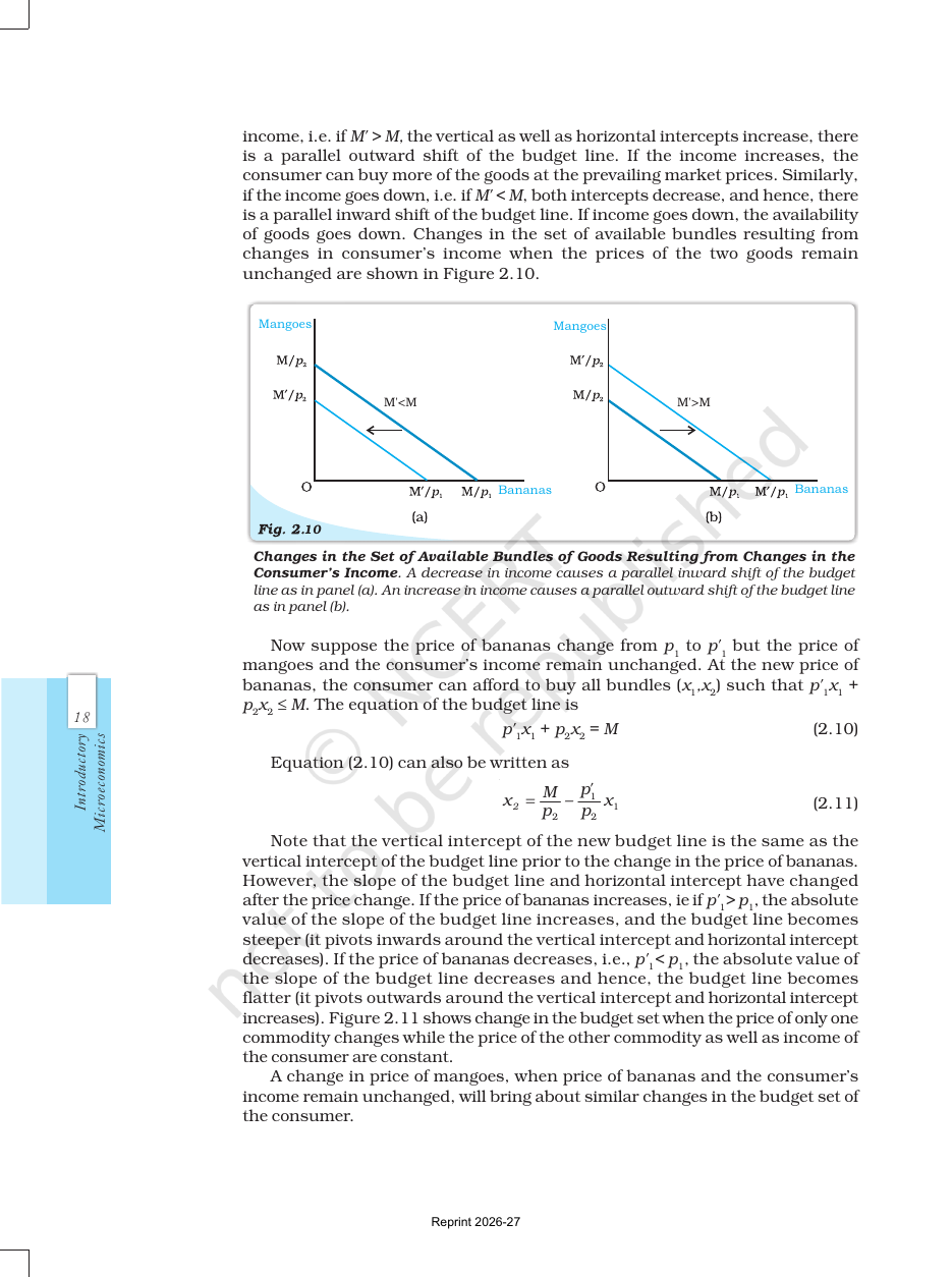 Page 11 of Theory of Consumer Behaviour