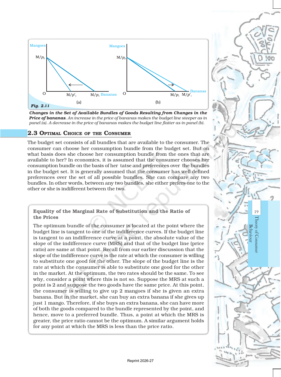 Page 12 of Theory of Consumer Behaviour