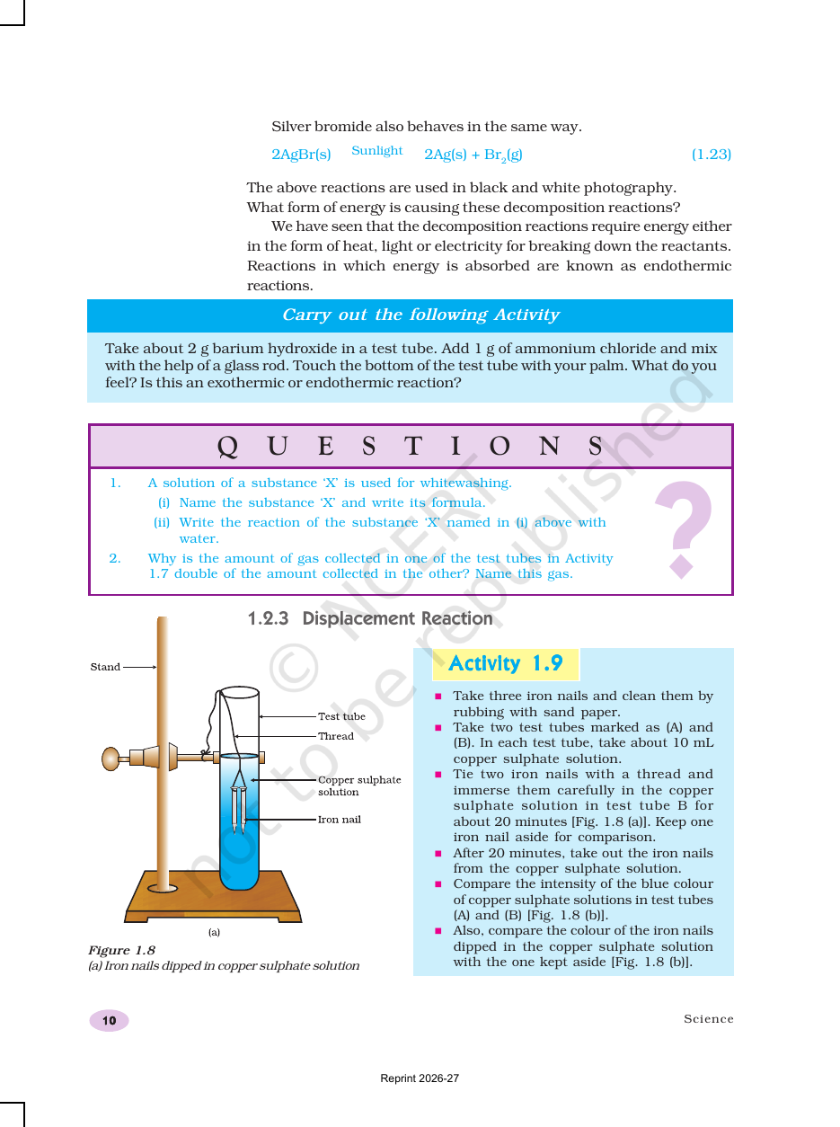 Page 10 of Chemical Reactions and Equations