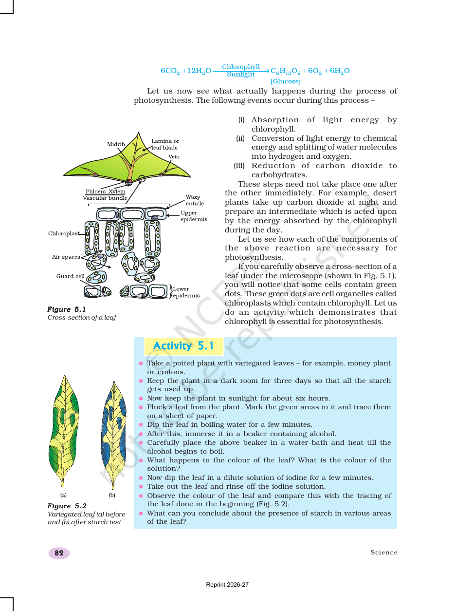 Page 4 of Life Processes