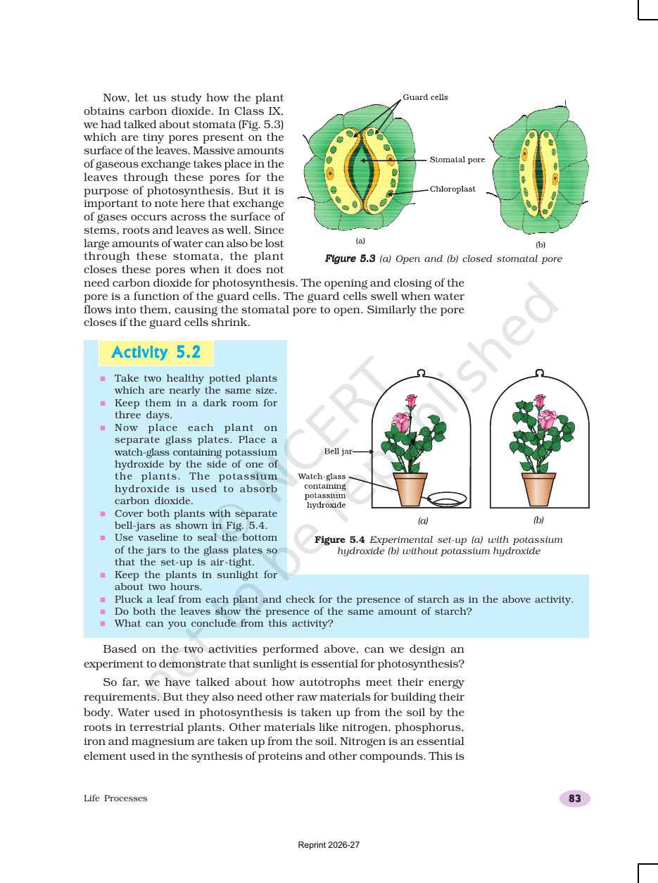 Page 5 of Life Processes