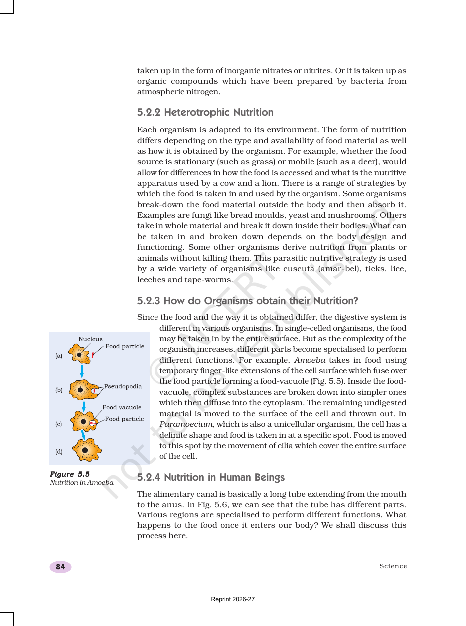 Page 6 of Life Processes