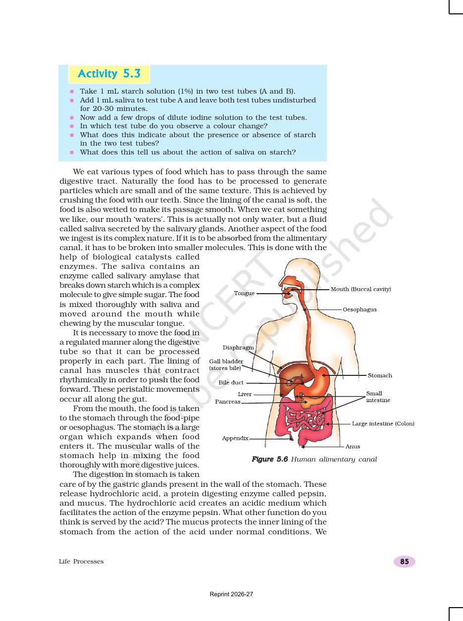 Page 7 of Life Processes