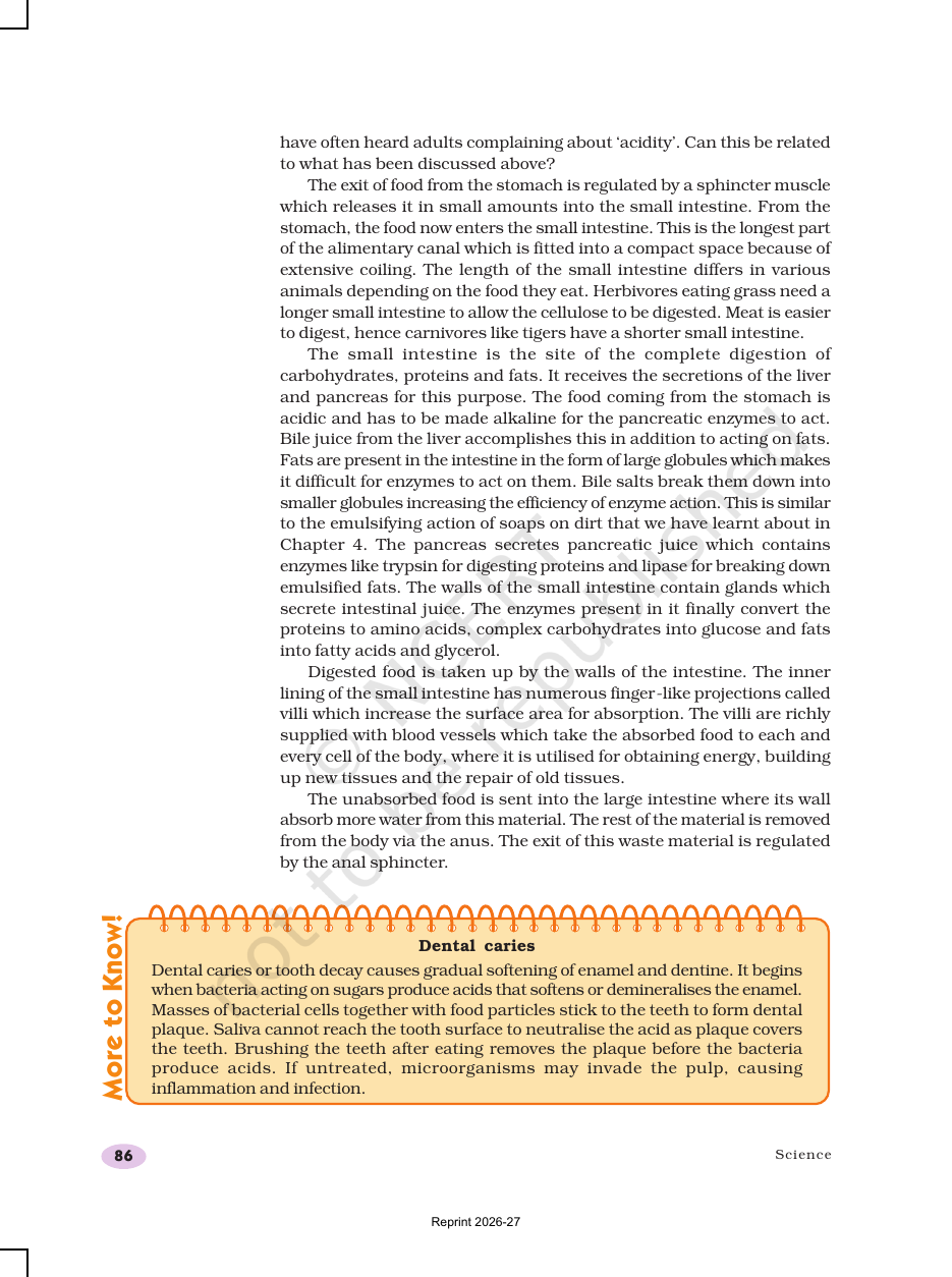 Page 8 of Life Processes