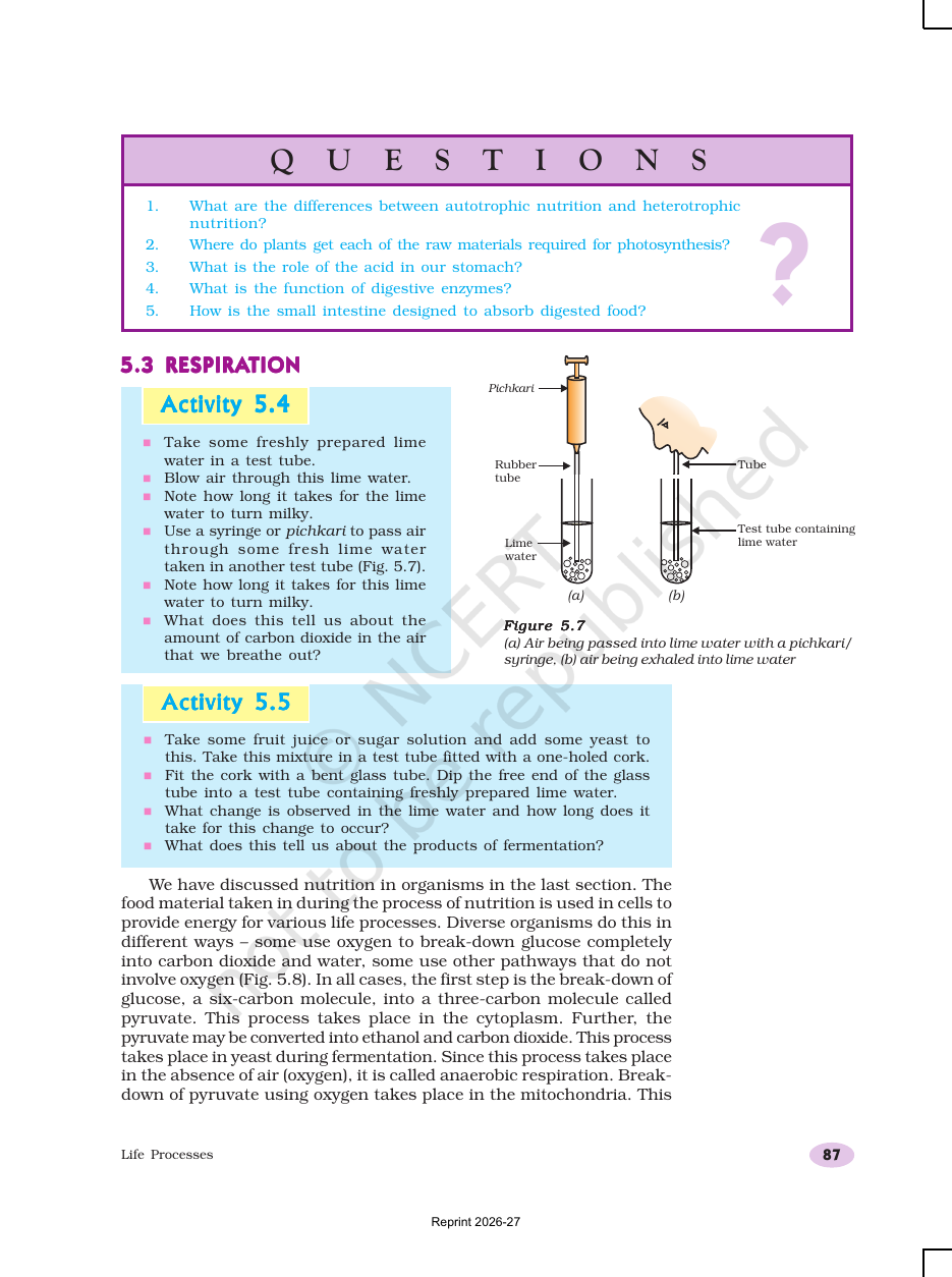 Page 9 of Life Processes