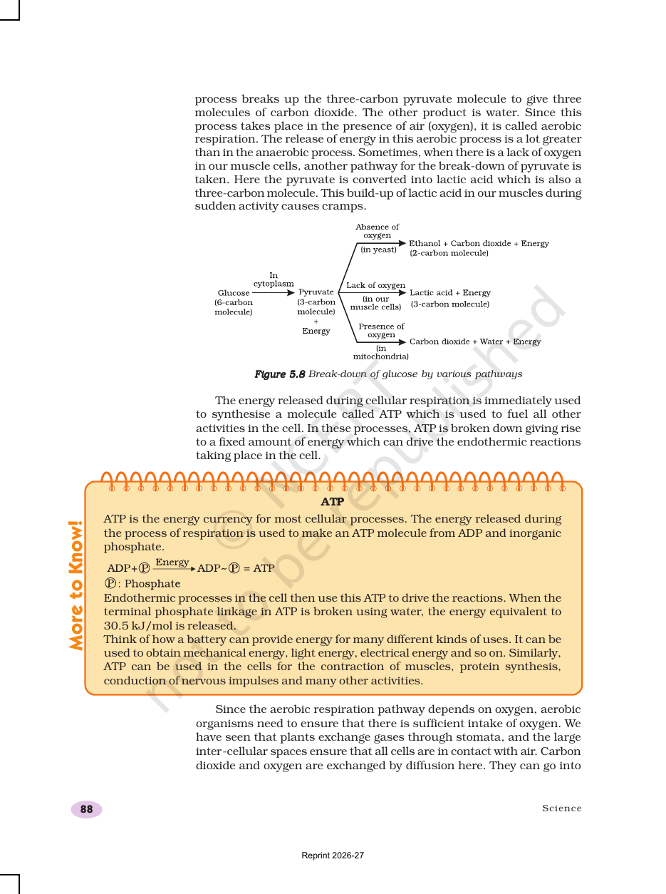 Page 10 of Life Processes