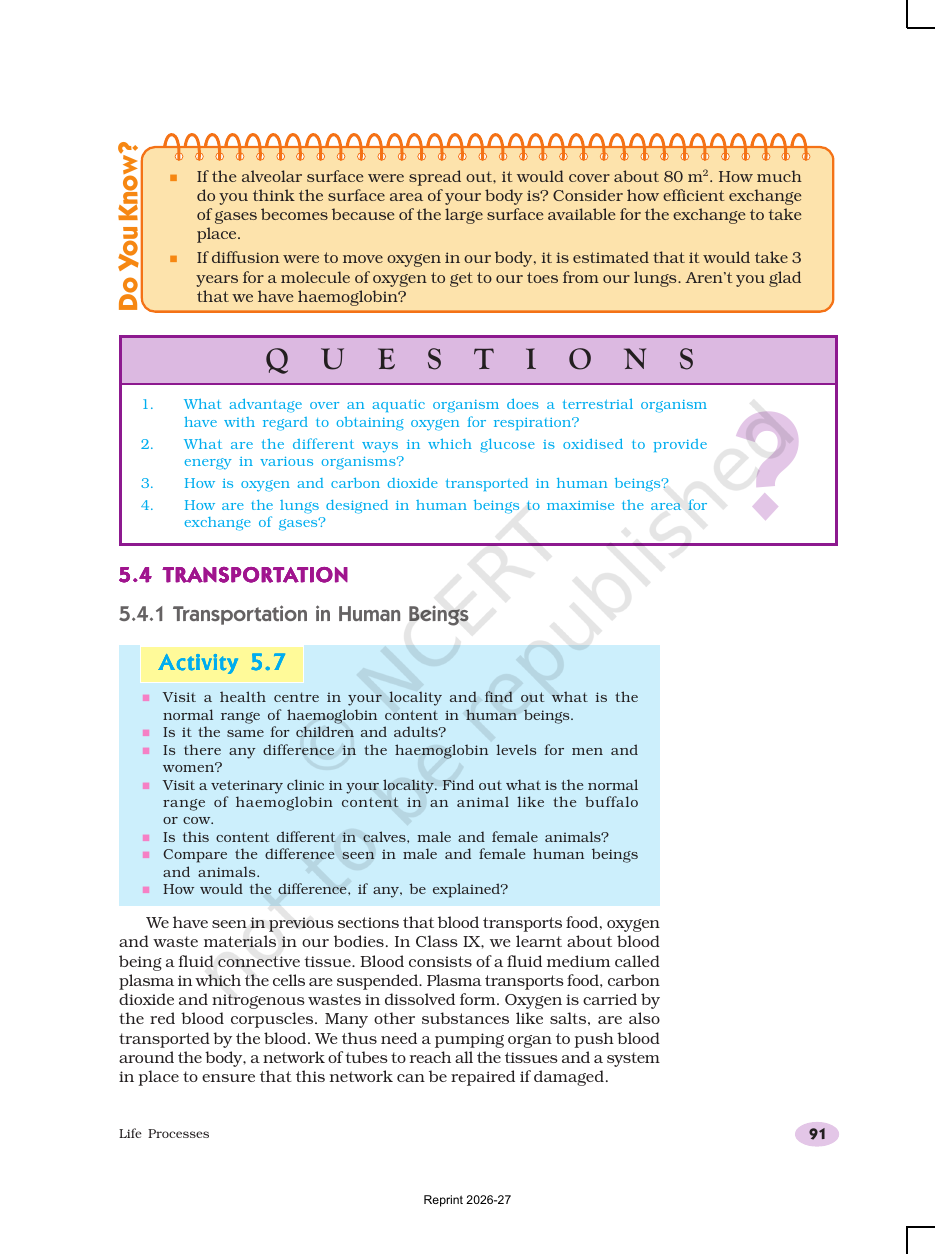 Page 13 of Life Processes