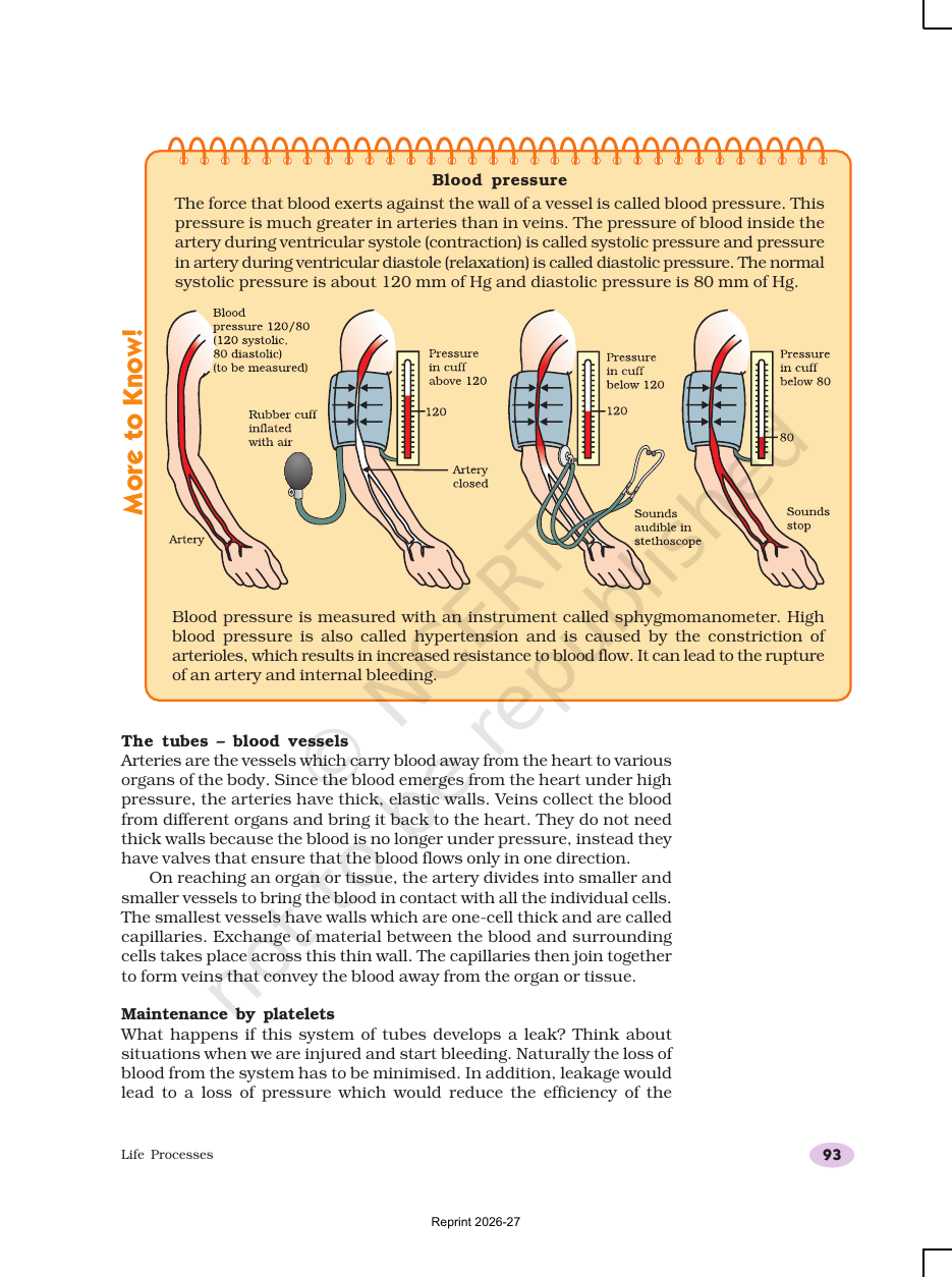 Page 15 of Life Processes
