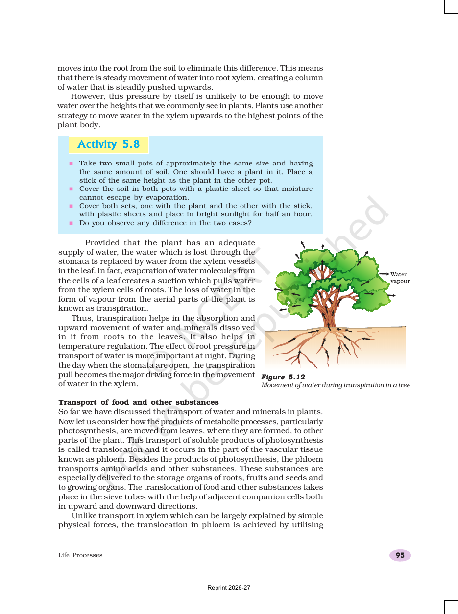 Page 17 of Life Processes