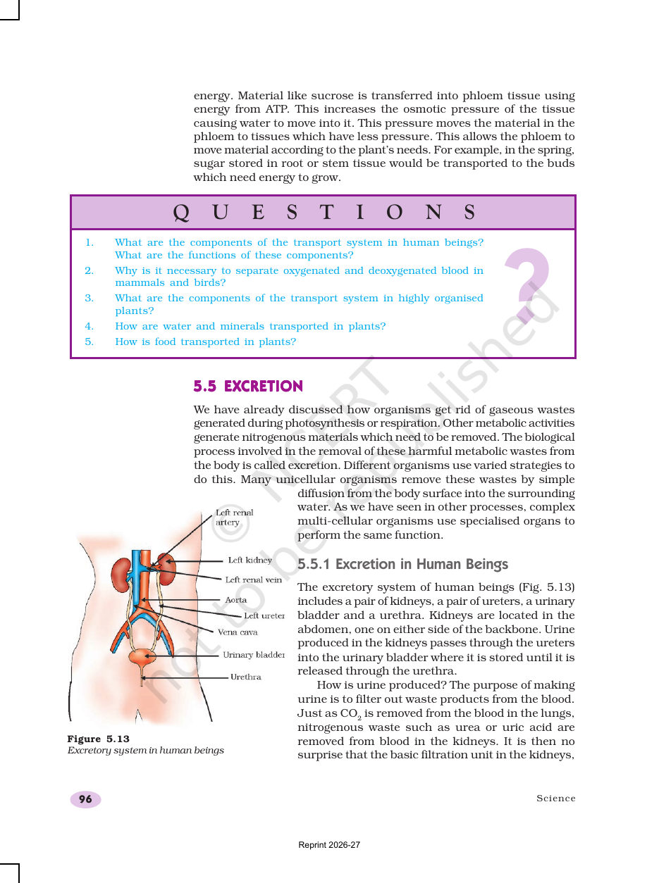 Page 18 of Life Processes