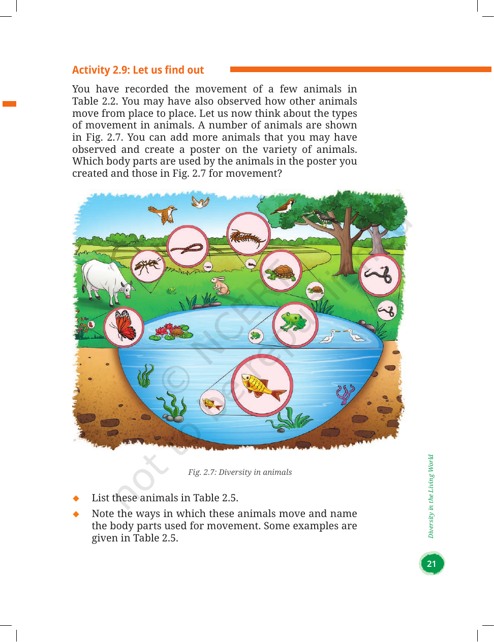 Page 13 of Diversity in the Living World