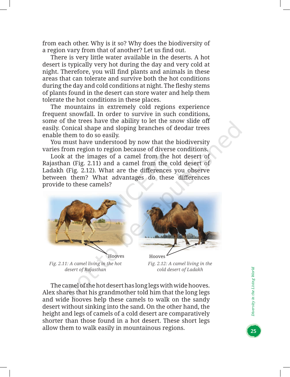 Page 17 of Diversity in the Living World
