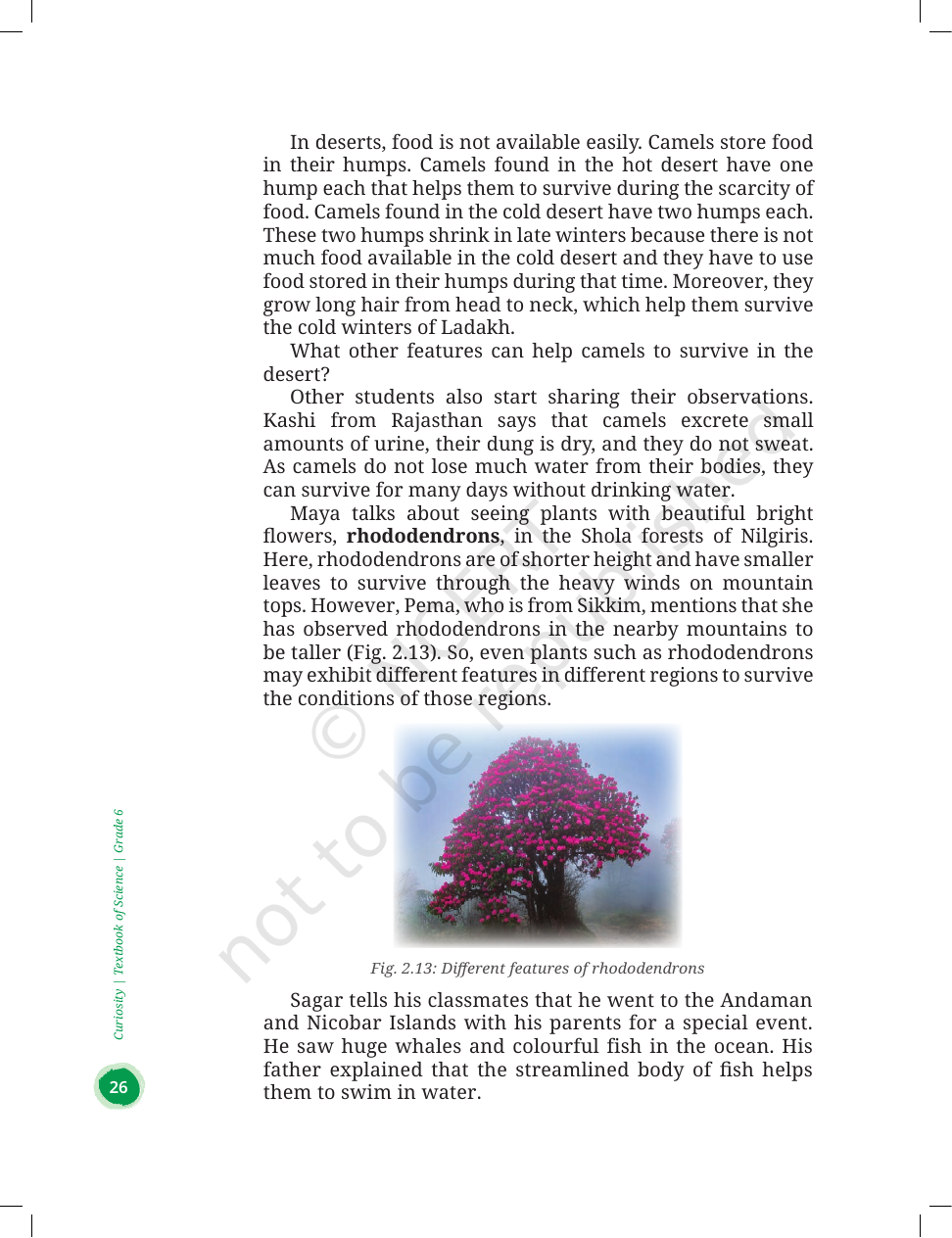 Page 18 of Diversity in the Living World