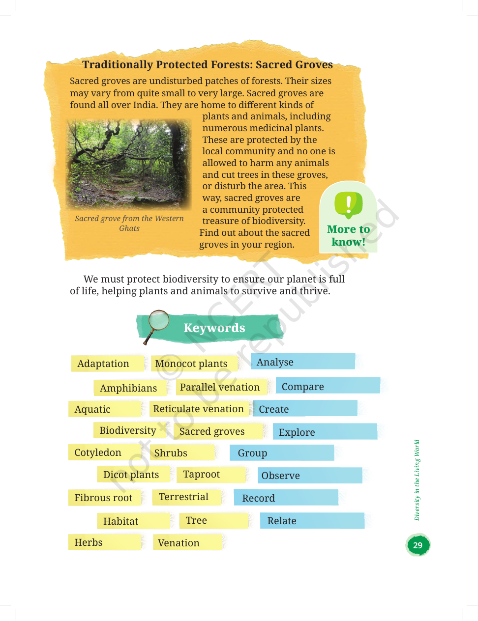 Page 21 of Diversity in the Living World