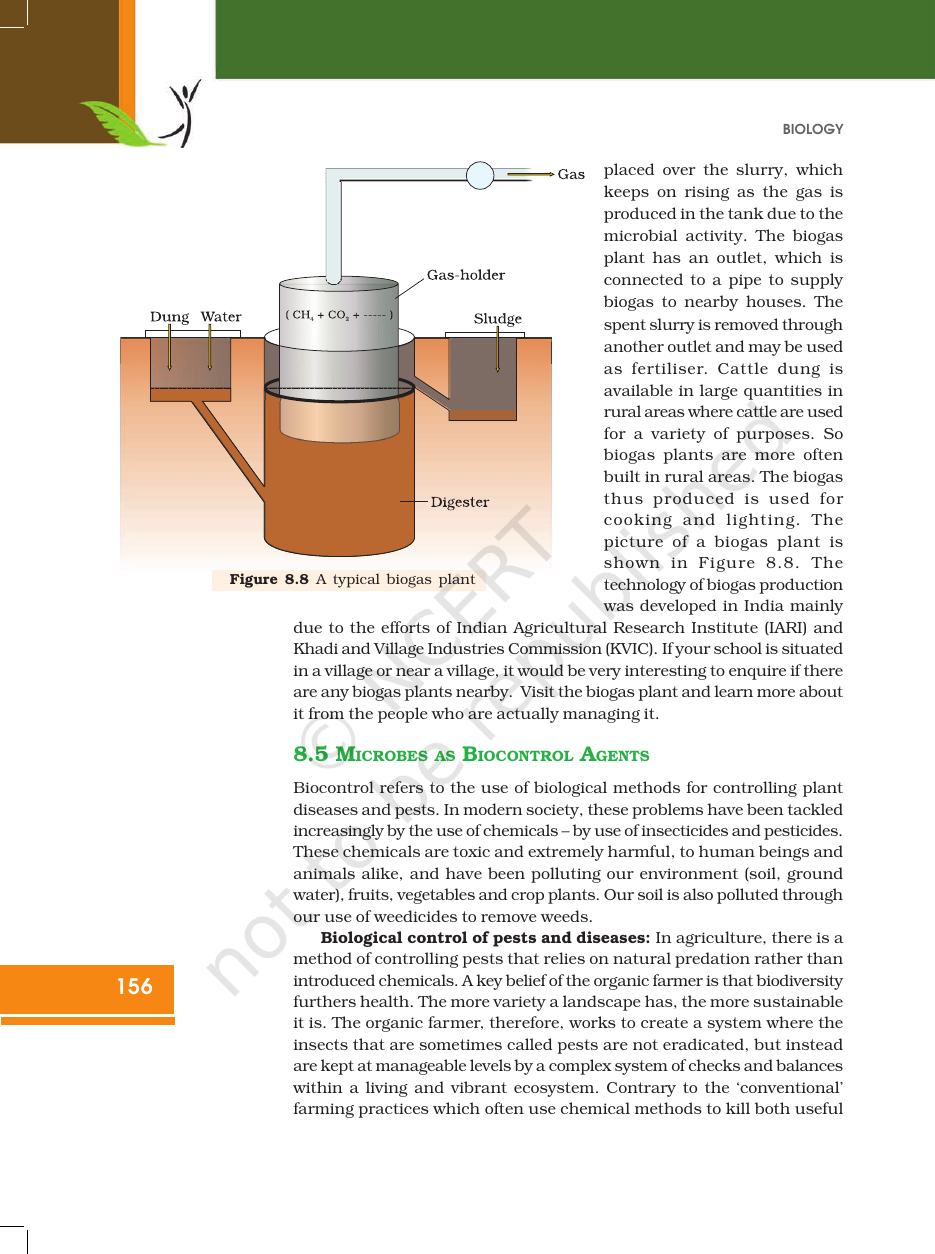 Page 8 of Microbes in Human Welfare