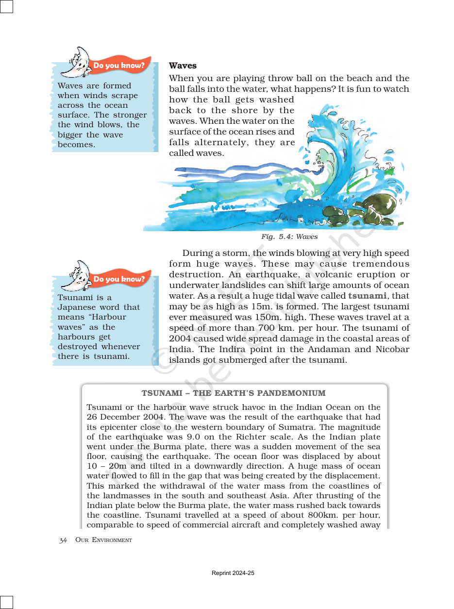 Page 5 of Water