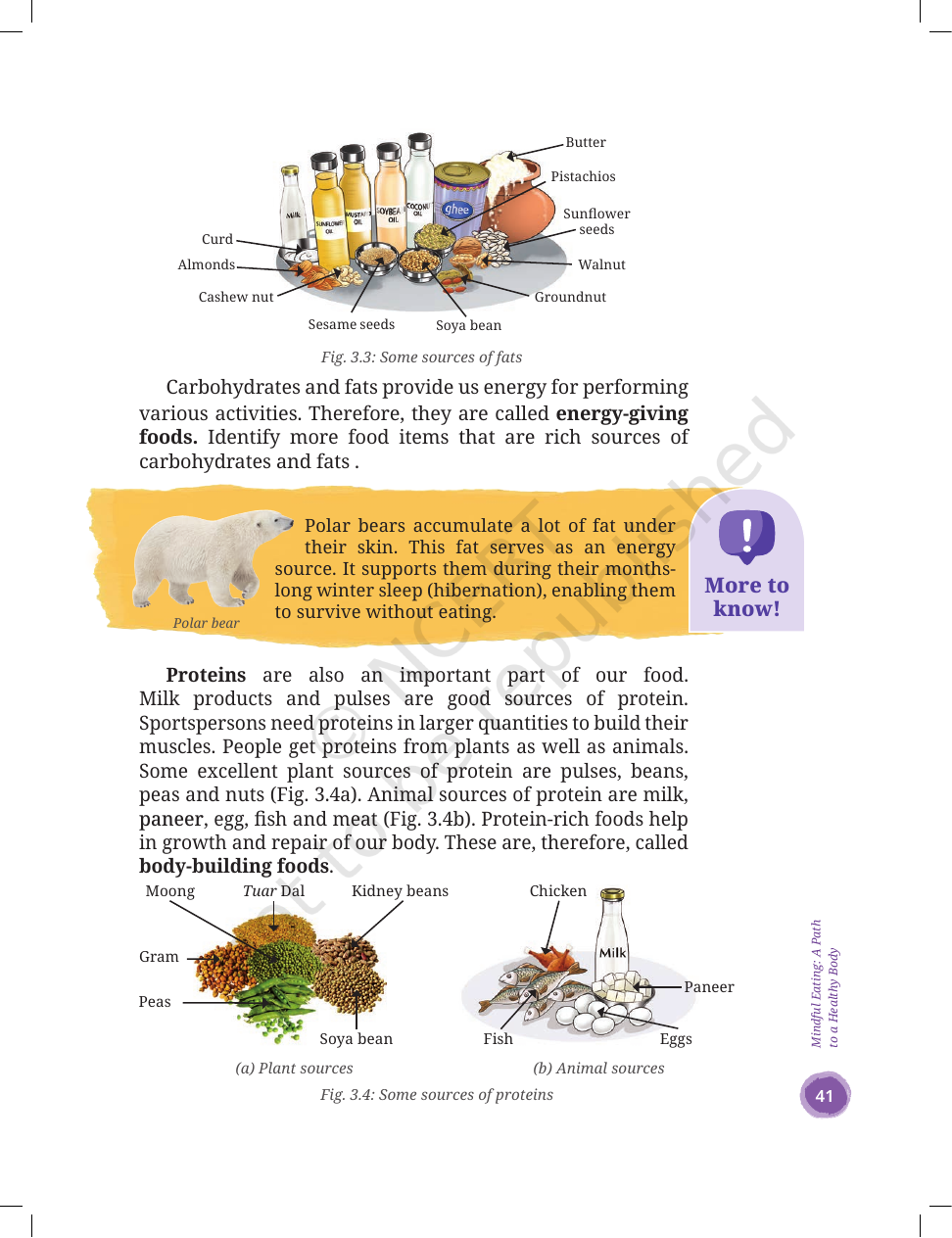 Page 7 of Mindful Eating: A Path to a Healthy Body