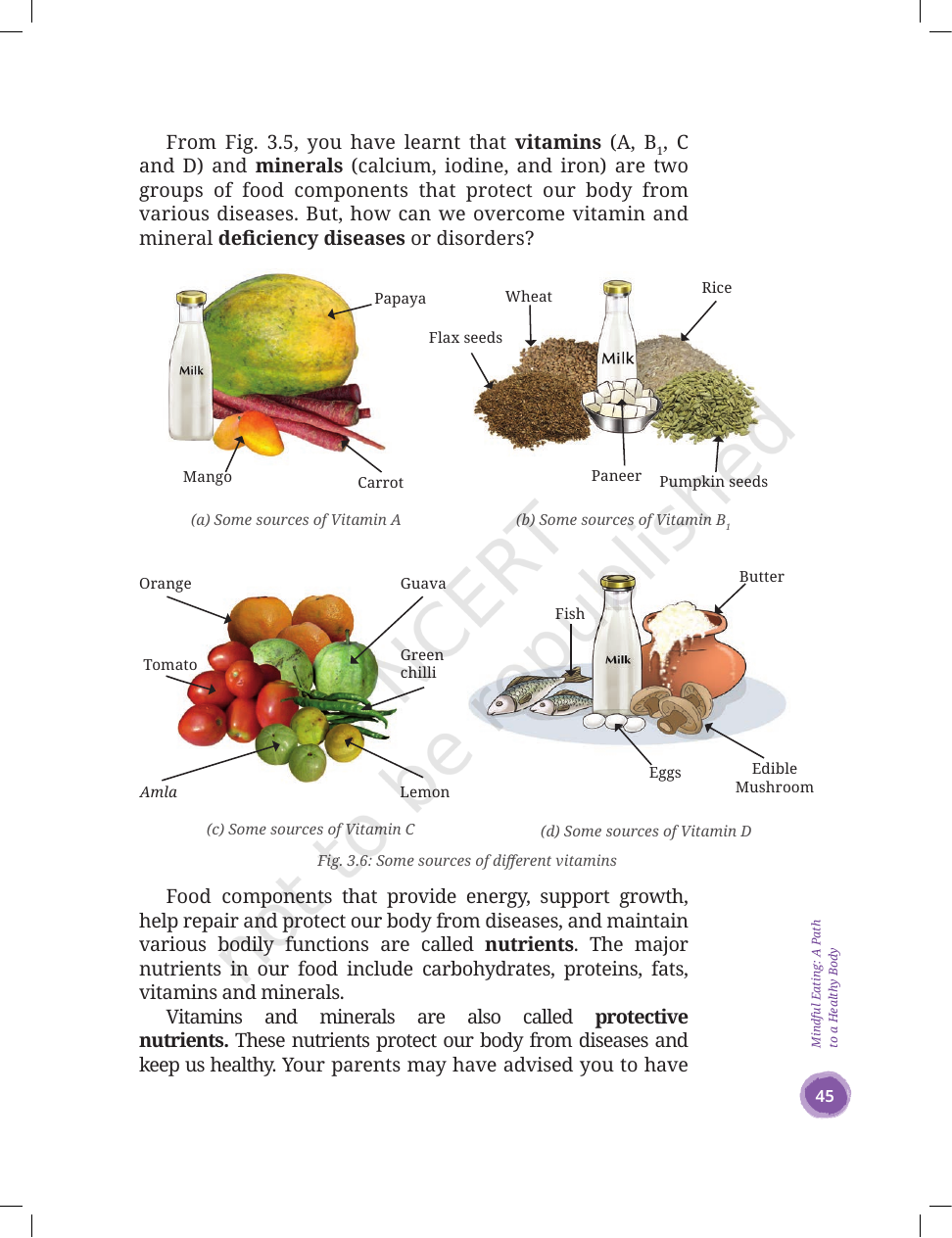 Page 11 of Mindful Eating: A Path to a Healthy Body
