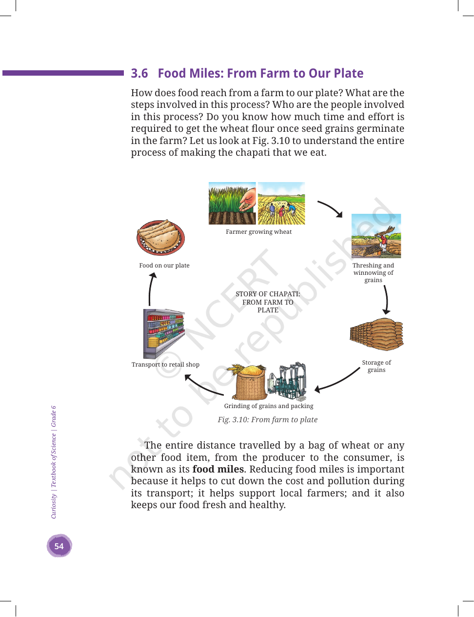 Page 20 of Mindful Eating: A Path to a Healthy Body