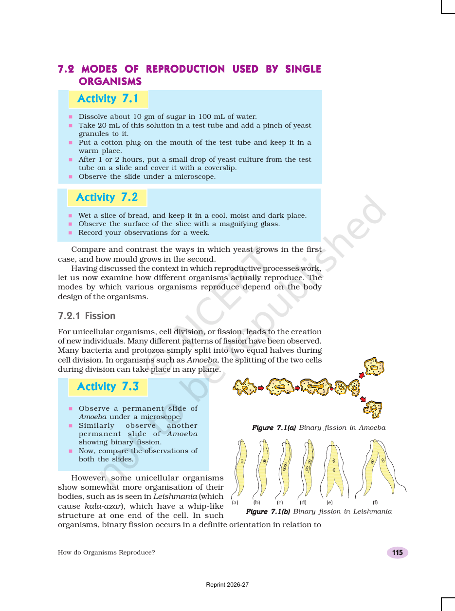 Page 3 of How do Organisms Reproduce?