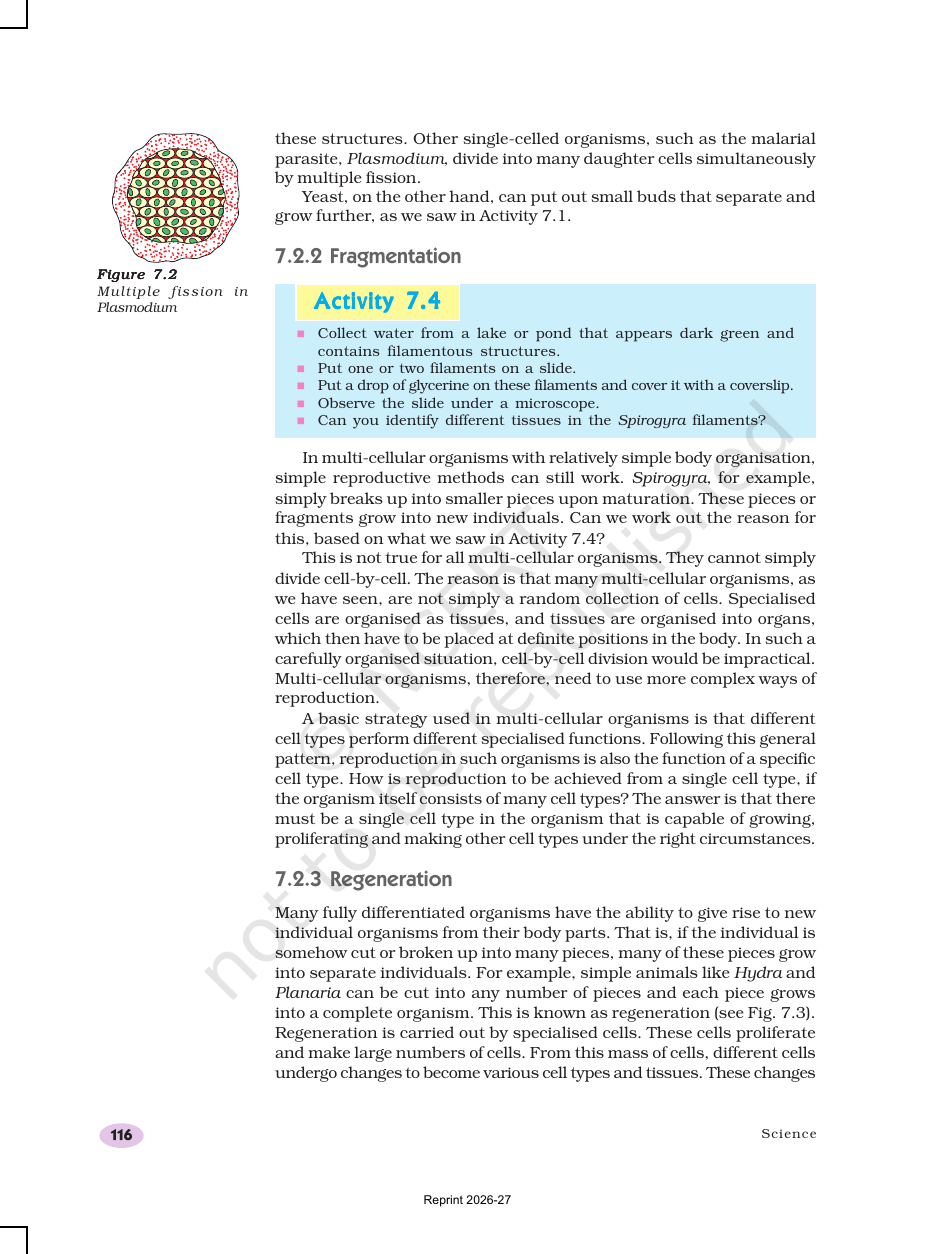Page 4 of How do Organisms Reproduce?