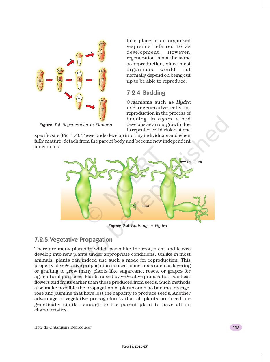 Page 5 of How do Organisms Reproduce?