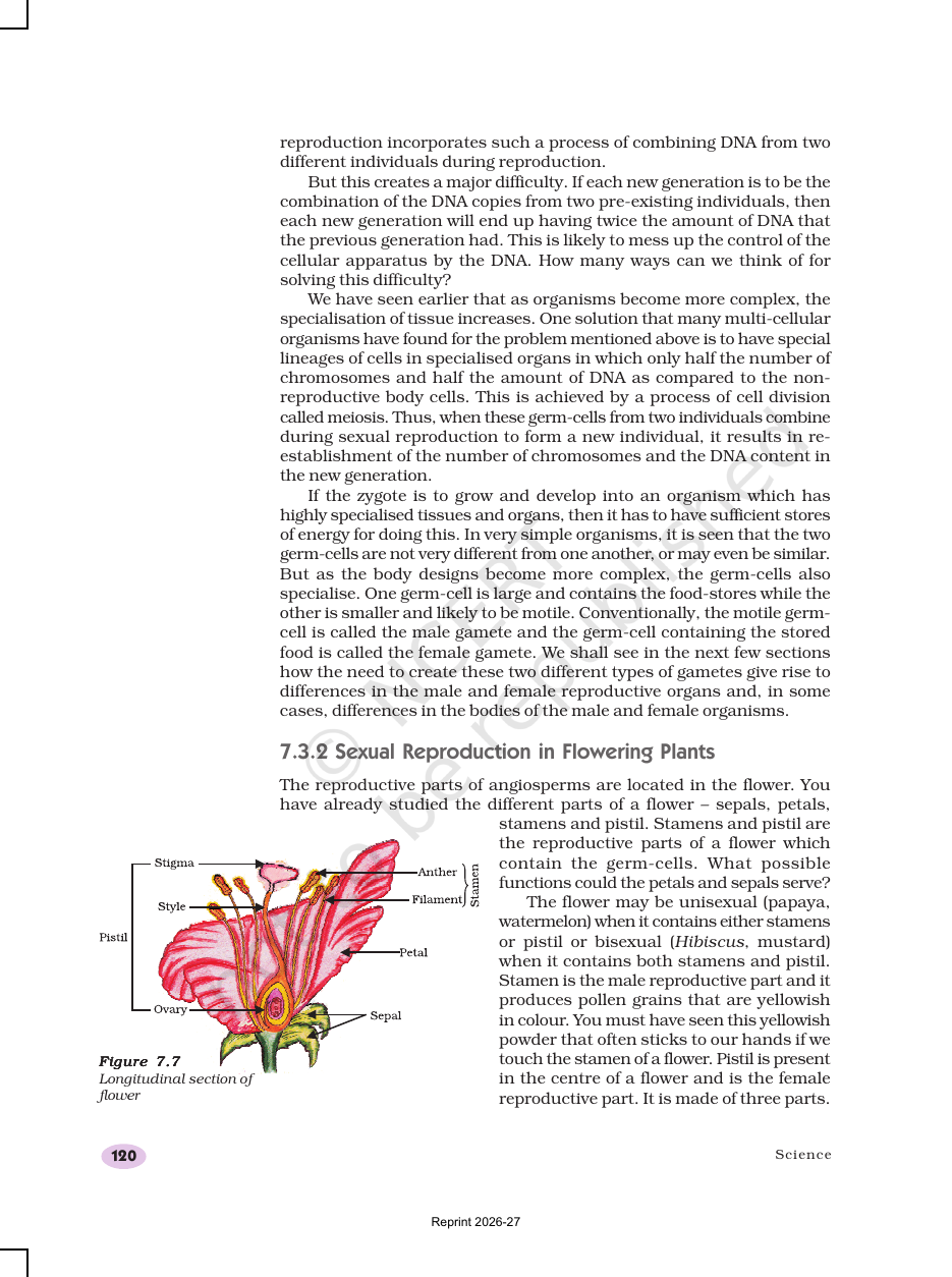 Page 8 of How do Organisms Reproduce?