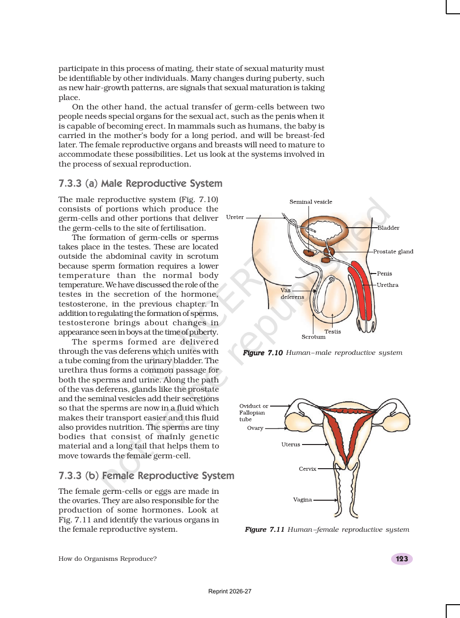 Page 11 of How do Organisms Reproduce?